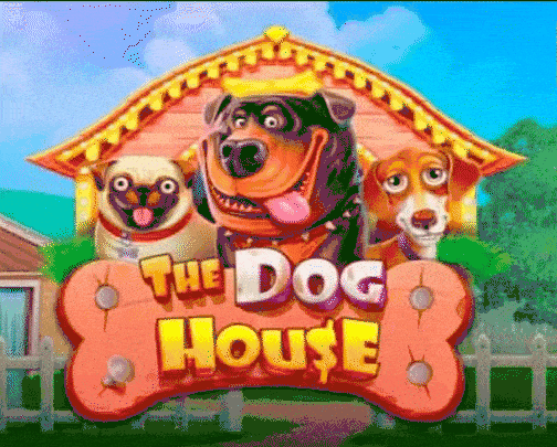 Play The Dog House in Vegas Hero Casino